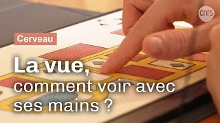 Voir avec ses mains