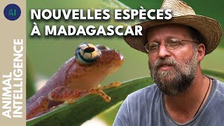 Documentaire À la découverte de la biodiversité de Madagascar