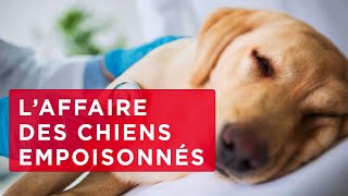 Affaire Roland Bondonny - Mais qui a tué Médor