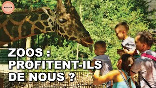 Arches de Noé ou cages dorées : dans les coulisses des zoos