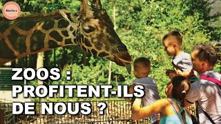 Documentaire Arches de Noé ou cages dorées : dans les coulisses des zoos