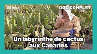 Documentaire Beauté apocalyptique : un jardin fait de volcans et de cactus