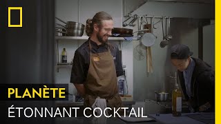 Documentaire Ce cocktail unique contient du liquide extrait du jabot d’un oiseau