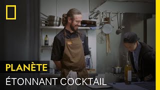 Ce cocktail unique contient du liquide extrait du jabot d’un oiseau