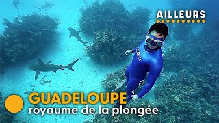 Documentaire Ce français parti réaliser son rêve en Guadeloupe