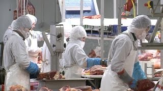 Ce que cache l'alimentation pas chère