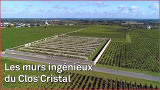 Clos Saumurois : les vignes font le mur !