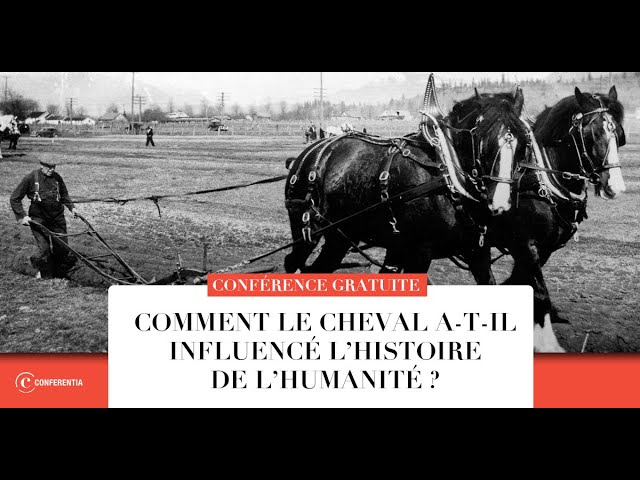 Comment le cheval a-t-il influencé l’histoire de l’humanité ?