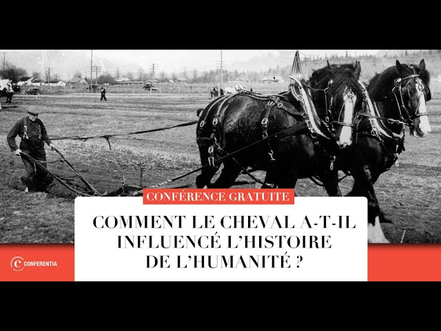 Documentaire Comment le cheval a-t-il influencé l’histoire de l’humanité ?