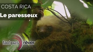 Documentaire Costa Rica, le paradis vert