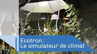 Ecotron : le simulateur de climat