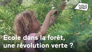 Documentaire École dans la forêt, une révolution verte ?