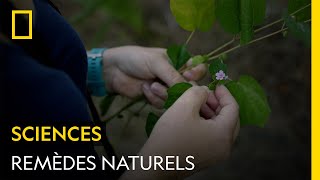 Et si le futur de la médecine, c'était... les plantes ?