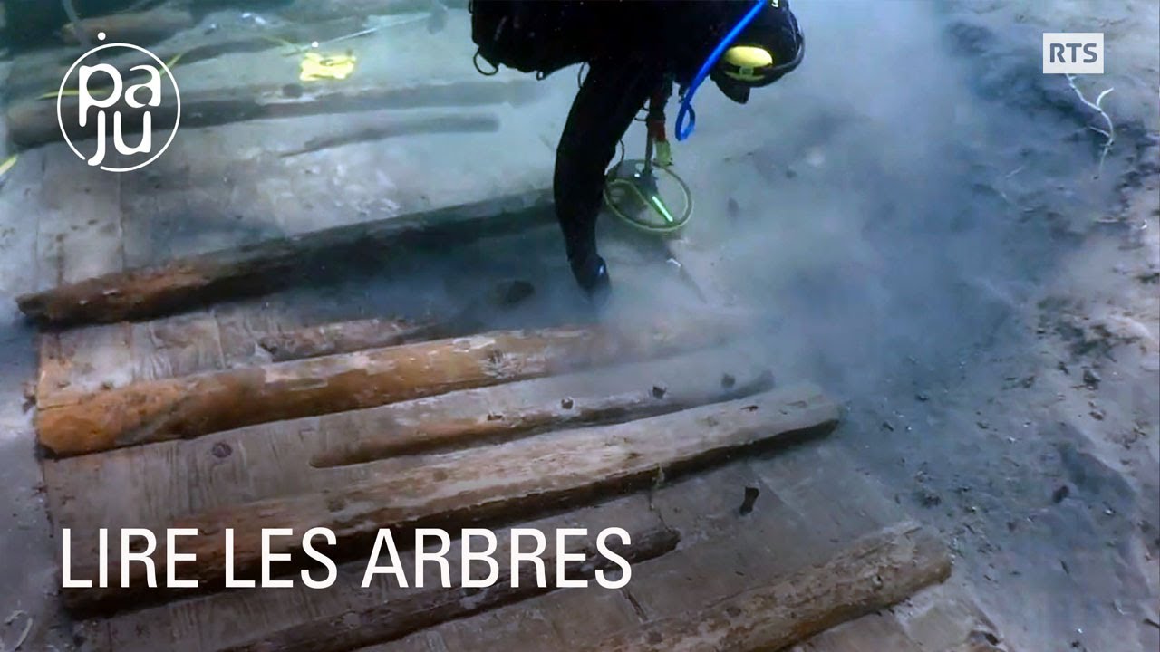 Documentaire Fabien étudie l’âge du bois et des villages lacustres engloutis par les eaux