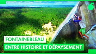 Documentaire Fontainebleau : Une forêt pas comme les autres !