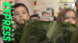 Documentaire Fruits et légumes : l’été toute l’année