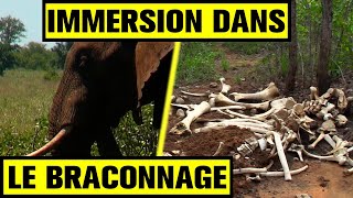 Documentaire Immersion dans la lutte contre les braconniers