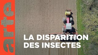 Documentaire Insecticide – Comment l’agrochimie a tué les insectes 