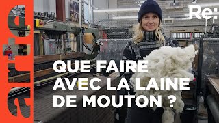 Laine de mouton : comment l'utiliser ?