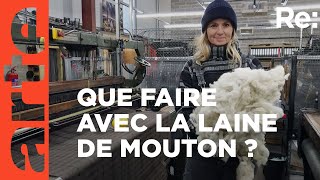 Documentaire Laine de mouton : comment l’utiliser ?