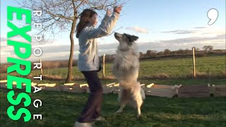 Documentaire Le dog dancing, ou danser avec son chien