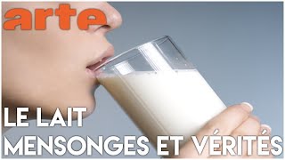 Documentaire Le lait bon ou mauvais pour la santé ?