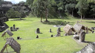 Les cités mayas éblouissantes : à la découverte de la civilisation légendaire