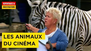Documentaire Les animaux, ces stars du cinéma