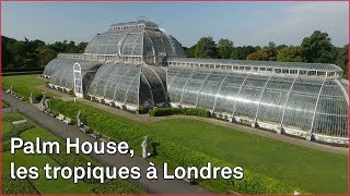 Documentaire Les jardins de Kew abritent les plantes du monde entier