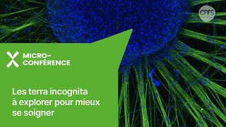 Les terra incognita à explorer pour mieux se soigner