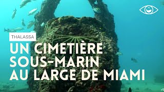 Documentaire Miami et son cimetière sous-marin