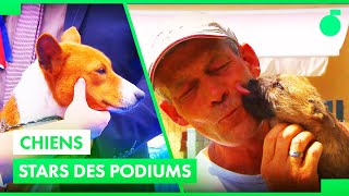 Mon chien est champion de France !