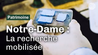 Notre-Dame de Paris, le chantier scientifique
