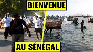 Documentaire On est parti dormir chez l’habitant au Sénégal !
