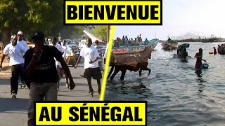 On est parti dormir chez l'habitant au Sénégal !