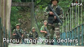 Pérou : grande traque aux dealers