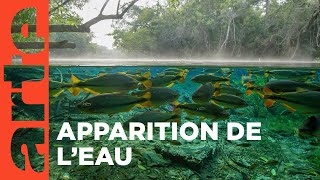 Documentaire H2O : l’eau, la vie et nous (1/3)