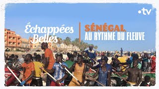 Sénégal, au rythme du fleuve