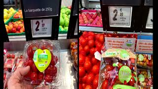 Une culture de tomates cerises sans pesticides