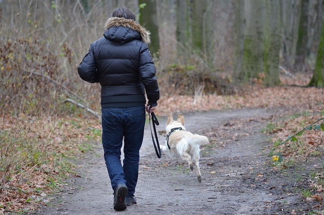 La science derrière l'éducation canine