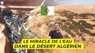 Algérie : le miracle de l'eau dans le désert algérien avec la foggora