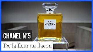 Documentaire Chanel n° 5, de la fleur au flacon