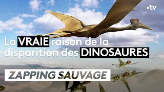 Documentaire Comment les dinosaures ont (vraiment) disparu