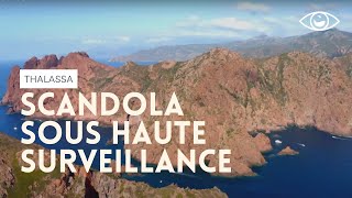 Documentaire Corse : Scandola désormais sous haute surveillance