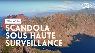 Corse : Scandola désormais sous haute surveillance