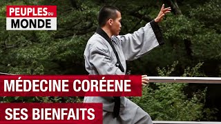 Découverte de la Médecine Traditionnelle en Corée