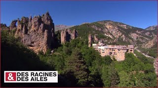 Demoiselles de Peone, à l'orée du Mercantour