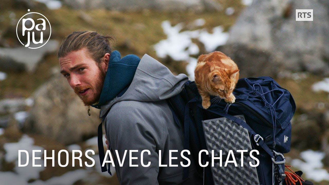 Deux copains partent en randonnée avec leurs chats d'appartement