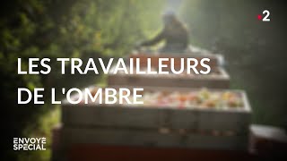 Les travailleurs de l'ombre