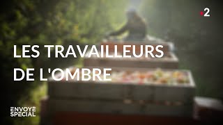 Documentaire Les travailleurs de l’ombre